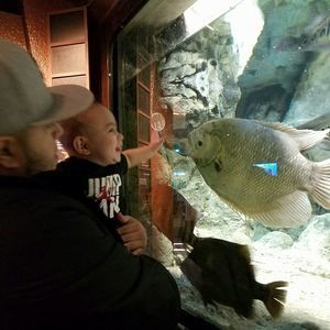 Meet your Posher, Jesse